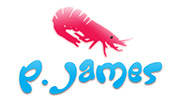 P James logo